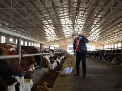 农业农村部：到2025年我国牛羊肉自给率保持在85%左右